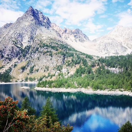 B&B Chalet Il Picchio Varzo Zewnętrze zdjęcie