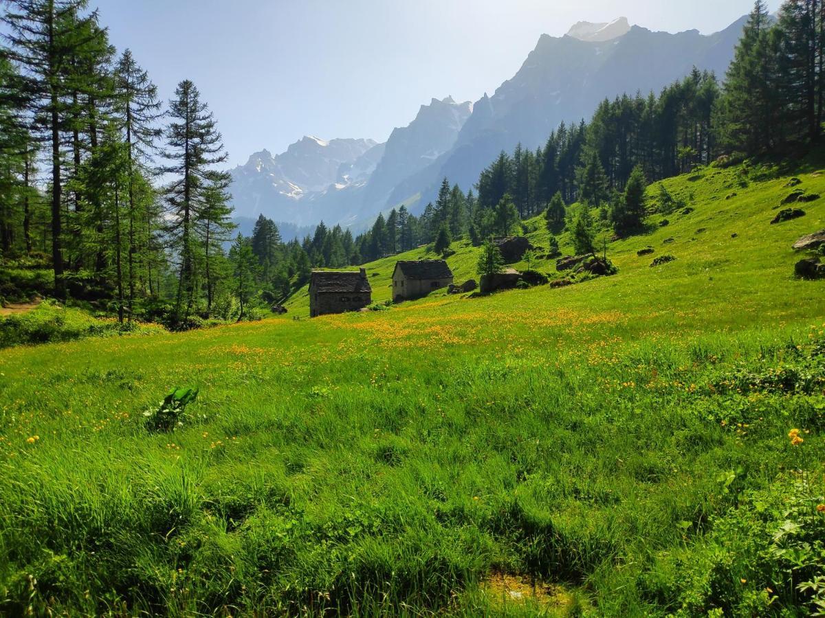 B&B Chalet Il Picchio Varzo Zewnętrze zdjęcie