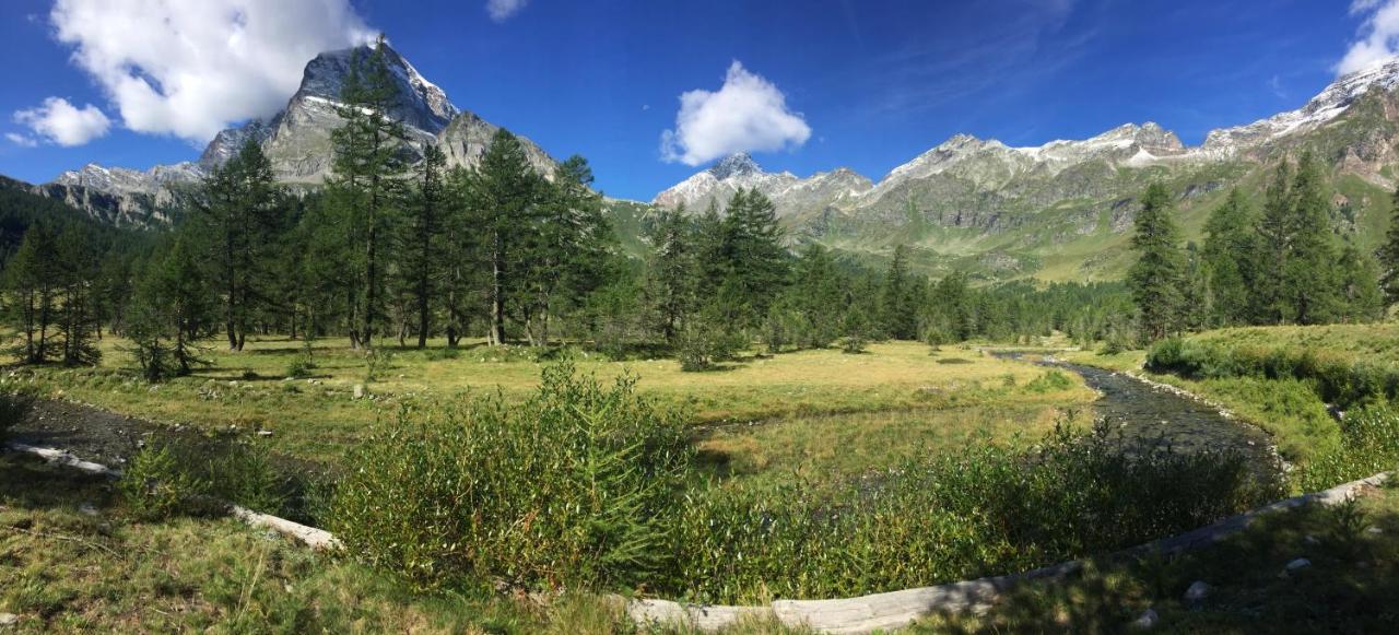 B&B Chalet Il Picchio Varzo Zewnętrze zdjęcie