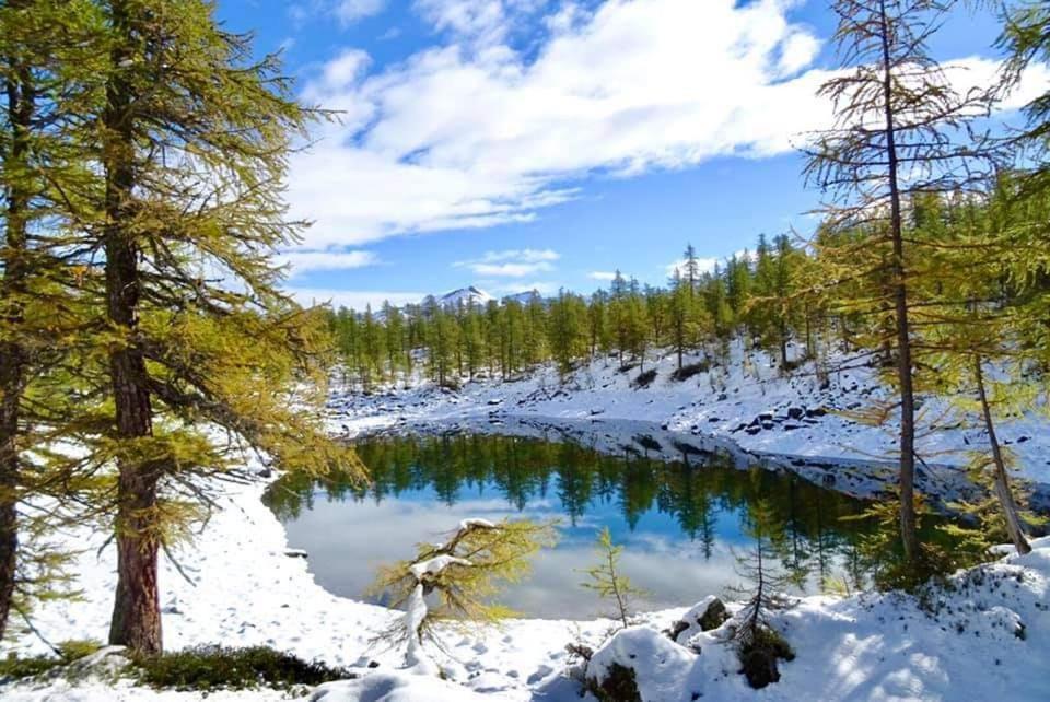 B&B Chalet Il Picchio Varzo Zewnętrze zdjęcie